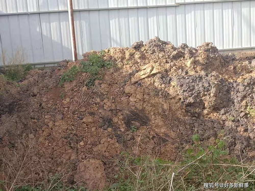 滑縣小鋪鄉大武莊照喜新型墻體材料廠污染環境，室內環境亟待治理