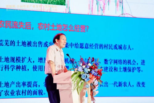 粵菜變革 抓住時(shí)代風(fēng)口，以“新味”走出“圍城”